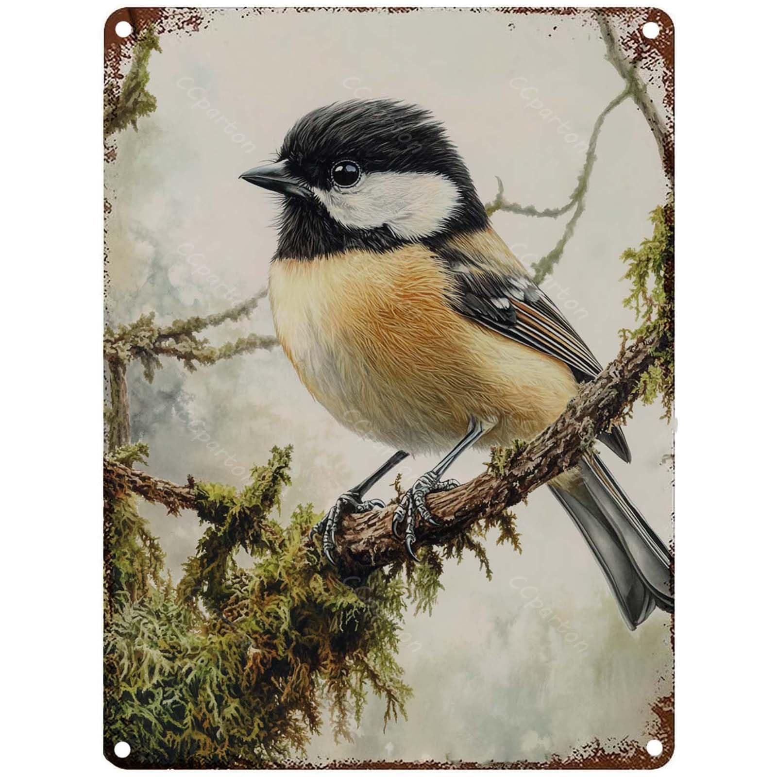Yivxa Tin-270 Metal Tin Sign Bird Vintage Metal Sign For Home Outdoor Indoor Office Bar Yard Decor 8X12 Inch