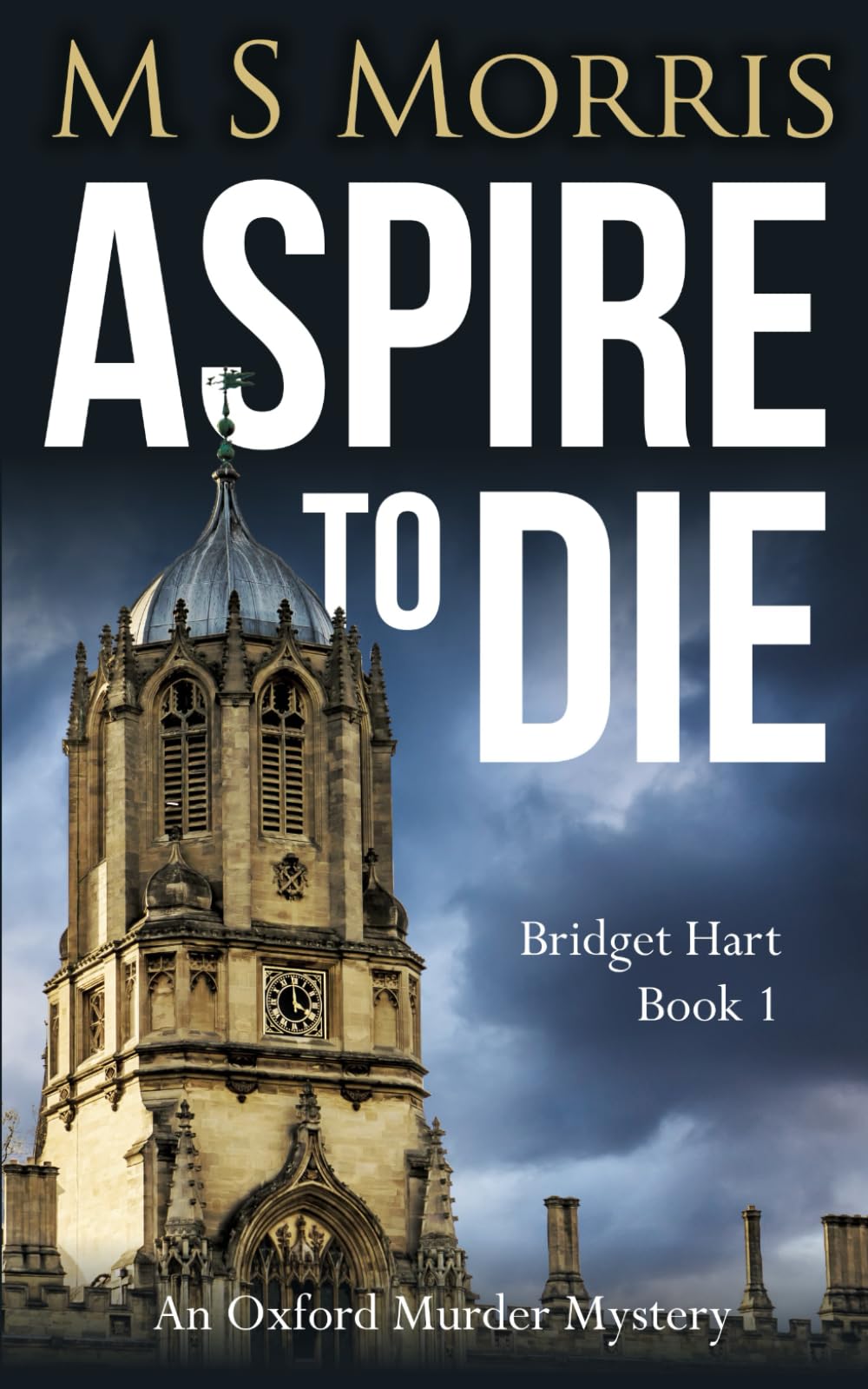 Aspire To Die: An Oxford Murder Mystery: 1 (Bridget Hart),M S Mo