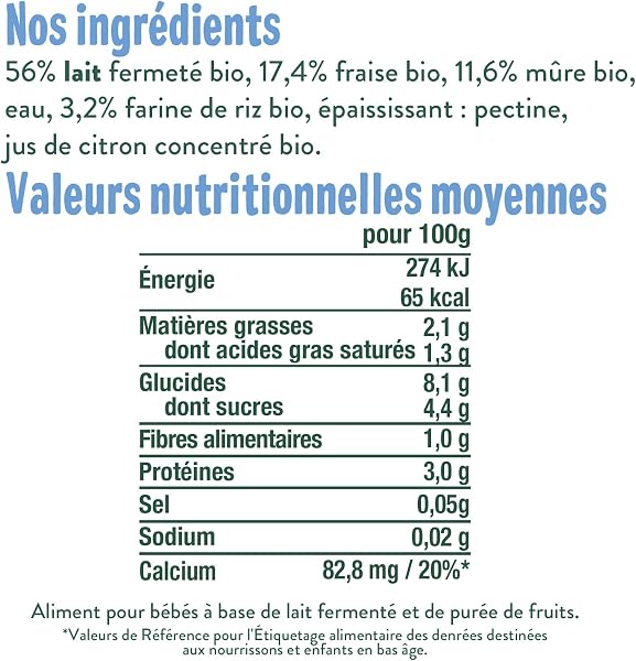 GOOD GOÛT - Brassé Au Lait De Vache - Dessert Bébé - Dès 6 Mois - Fraise, Mûre - Sans Sucres Ajoutés* - Format Nomade - 10x90g - 2