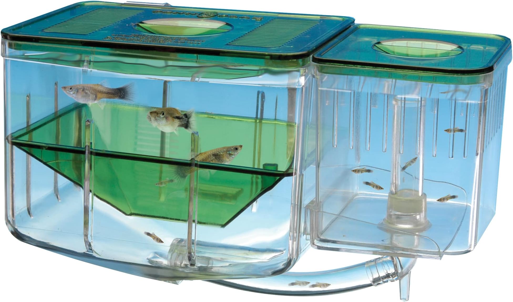 Pen-Plax AN2 Aqua Nursery and Hatchery Aquarium by Pen Plax