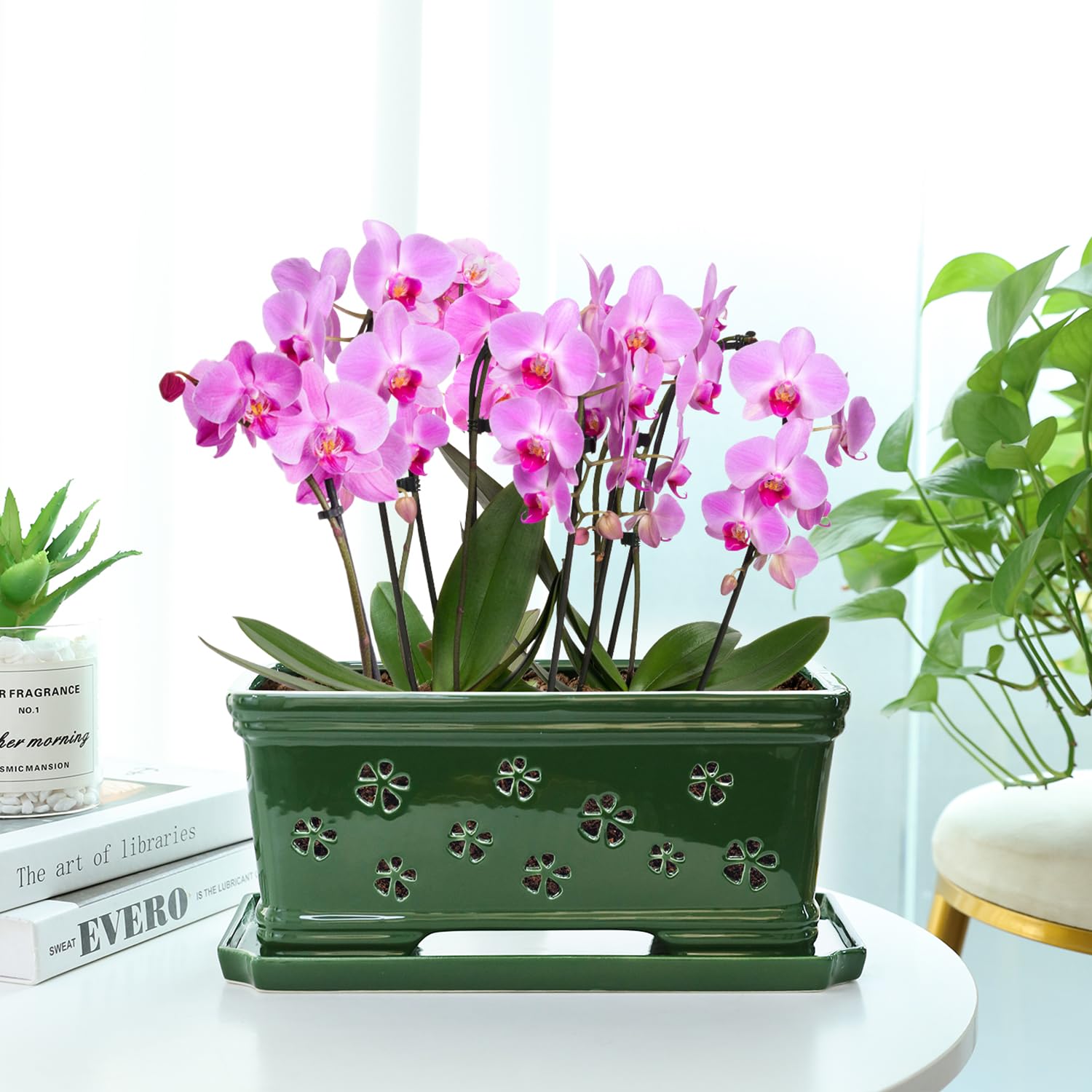 Grüner Keramik-Orchideentopf mit Löchern zum Umtopfen und Belüften, für drinnen und draußen, 30,5 cm