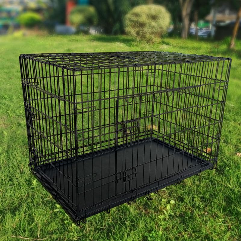 24-Inch Folding Metal Dog Crate for Small Breeds – Double Door, Removable Tray, and Carry Handle – Ideal for Indoor - Black