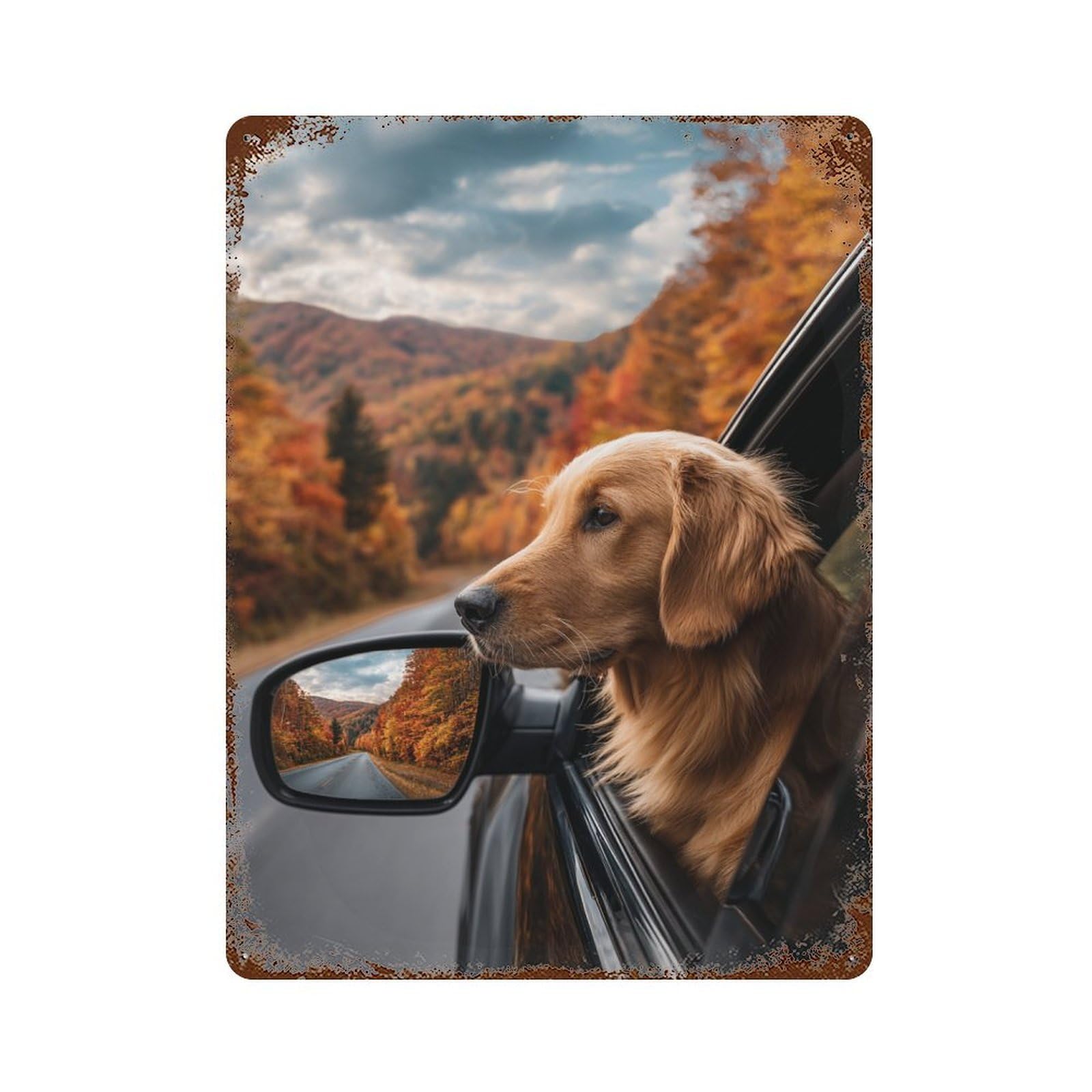 Golden Retriever Autumn Drive-1 15.7"x11.8" Retro Metal Sign, Shabby Chic Decor for Garage, Bar And Workshop Decor