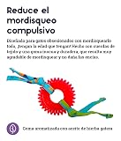 Ver la foto 3