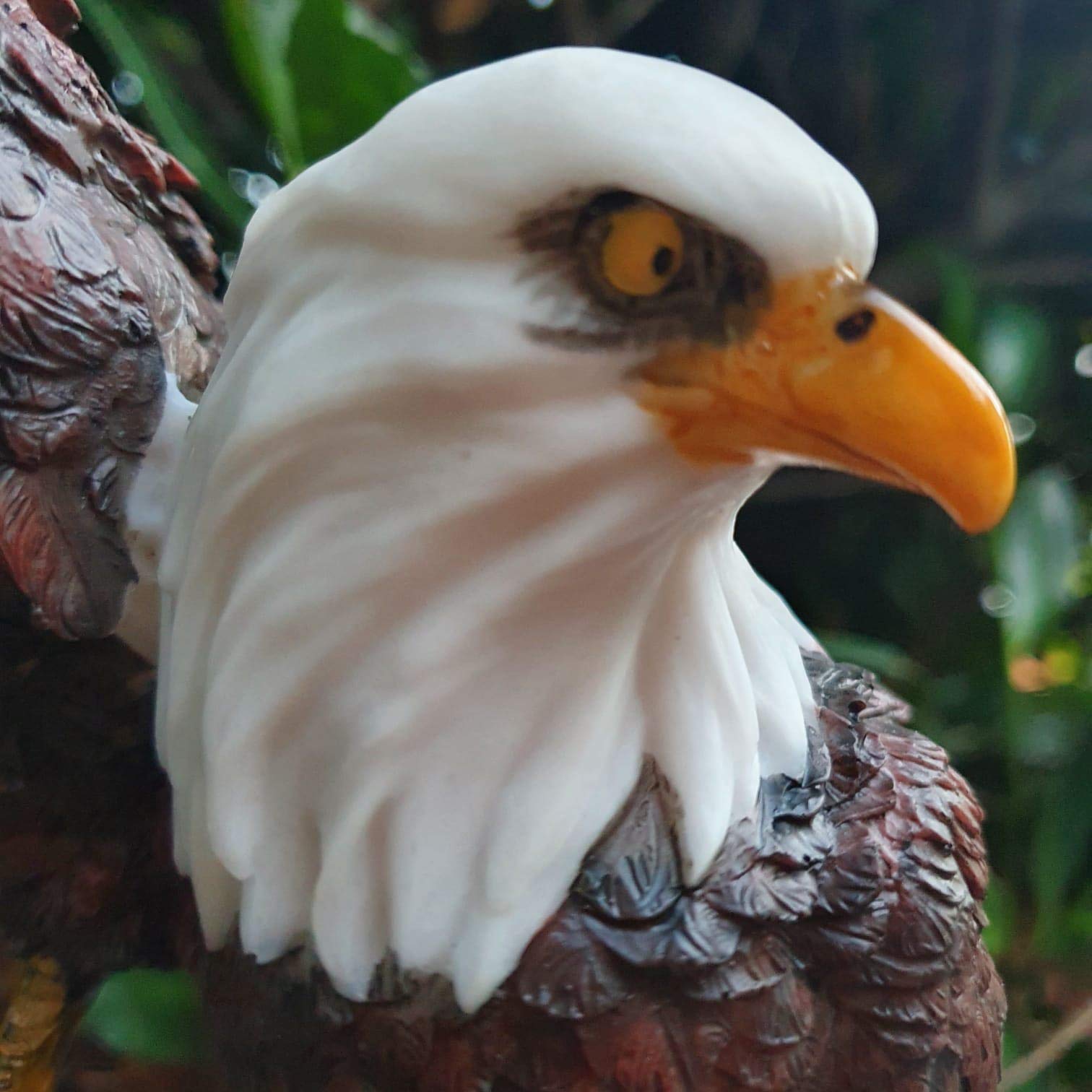 Gartenfigur Adler Doppelmotiv 33 cm – handbemalte Adlerfigur Weißkopfseeadler-Paar, Vogelfigur handbemalt wetterfest