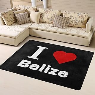 I Love Belize Area Rug 4x6 Feet Rugs for Living Room Bedroom Soft Indoor Floor Rug Non-Slip Carpet