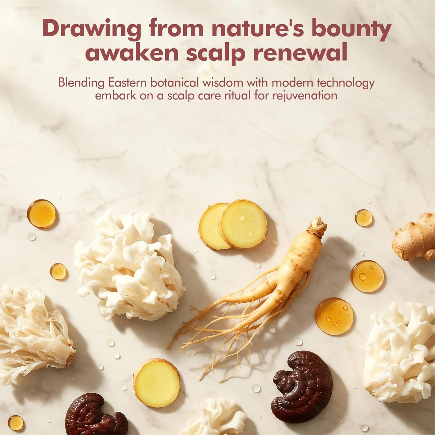 Shampoo and Conditioner Set for Thinning Hair Care & Thickening - Rosemary Shampoo and Conditioner for Women & Men with Biotin, Ganoderma Lucidum, Free of Parabens & Phthalates, Gently Cleanse - Image 5