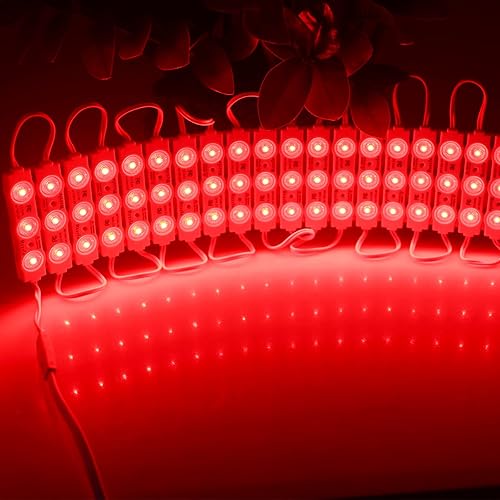 Miniatura 10 de REXTiN Super Bright 100pcs 110V 2835 3 LED Module Storefront Lights Azul 250LM por módulo Luz decorativa impermeable para letreros de letras
