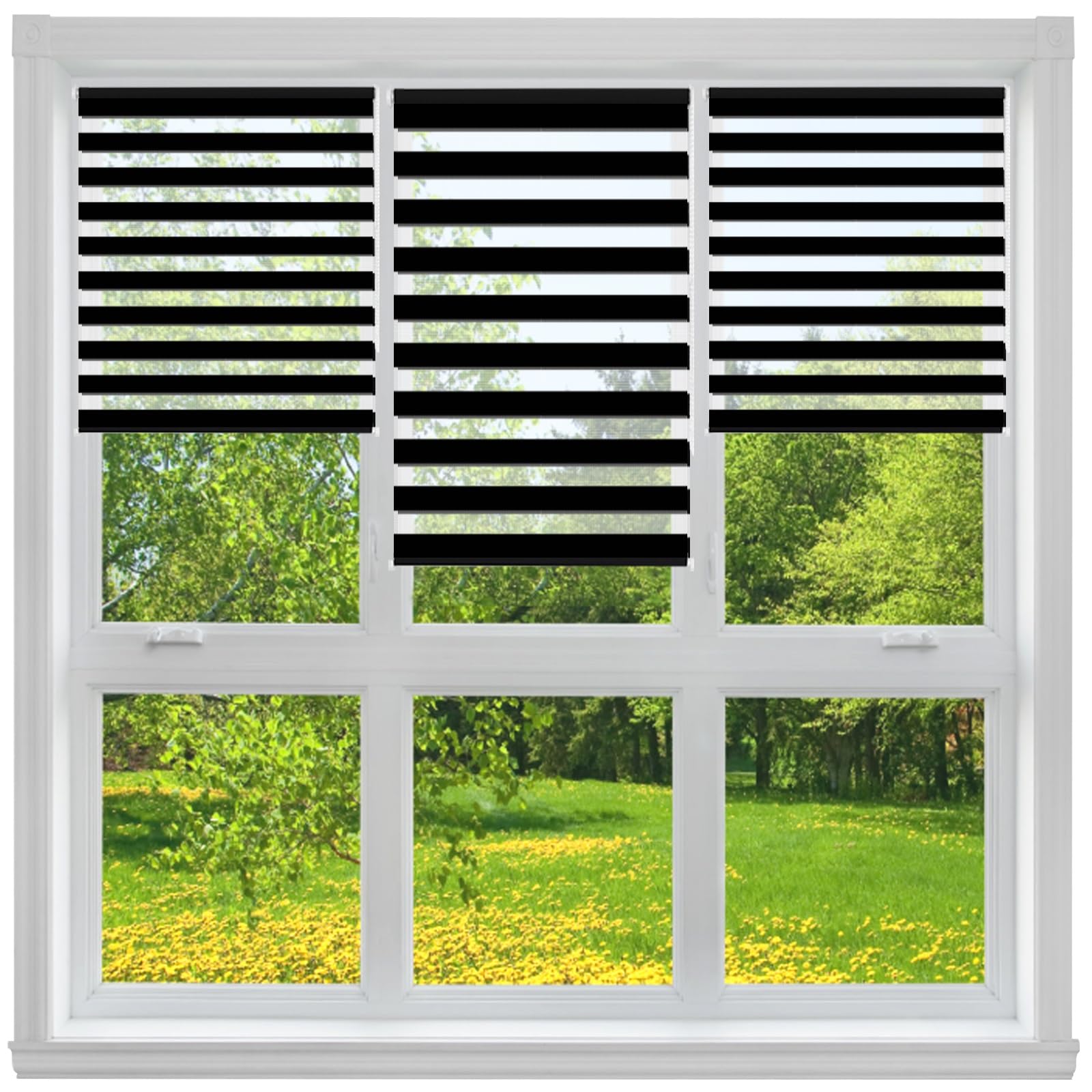 Doppelrollo Klemmfix Ohne Bohren 38 x 155 cm Blickdicht Oder Transparent, Ohne Bohren Möglich, Doppelrollo Wandmontage Klemmfix Rollo für Fenster Und Tür, Schwarz
