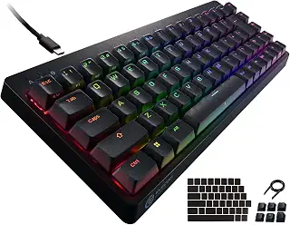 エレコム ゲーミングキーボード 有線 V-custom VK300S RGB テンキーレス 65%サイズ メカニカル ネオクラッチキーキャップ 銀軸 スピードリニア USBポート搭載 TK-VK300SBK