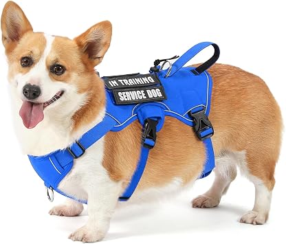 VOOPET Escape Proof Dog Harness, Soft Padded Full Body Pet Harness, Reflective No Pull Dog Harness with Handle and 2 Leash Clips for Small Dogs Walking Hiking Training Blue,S