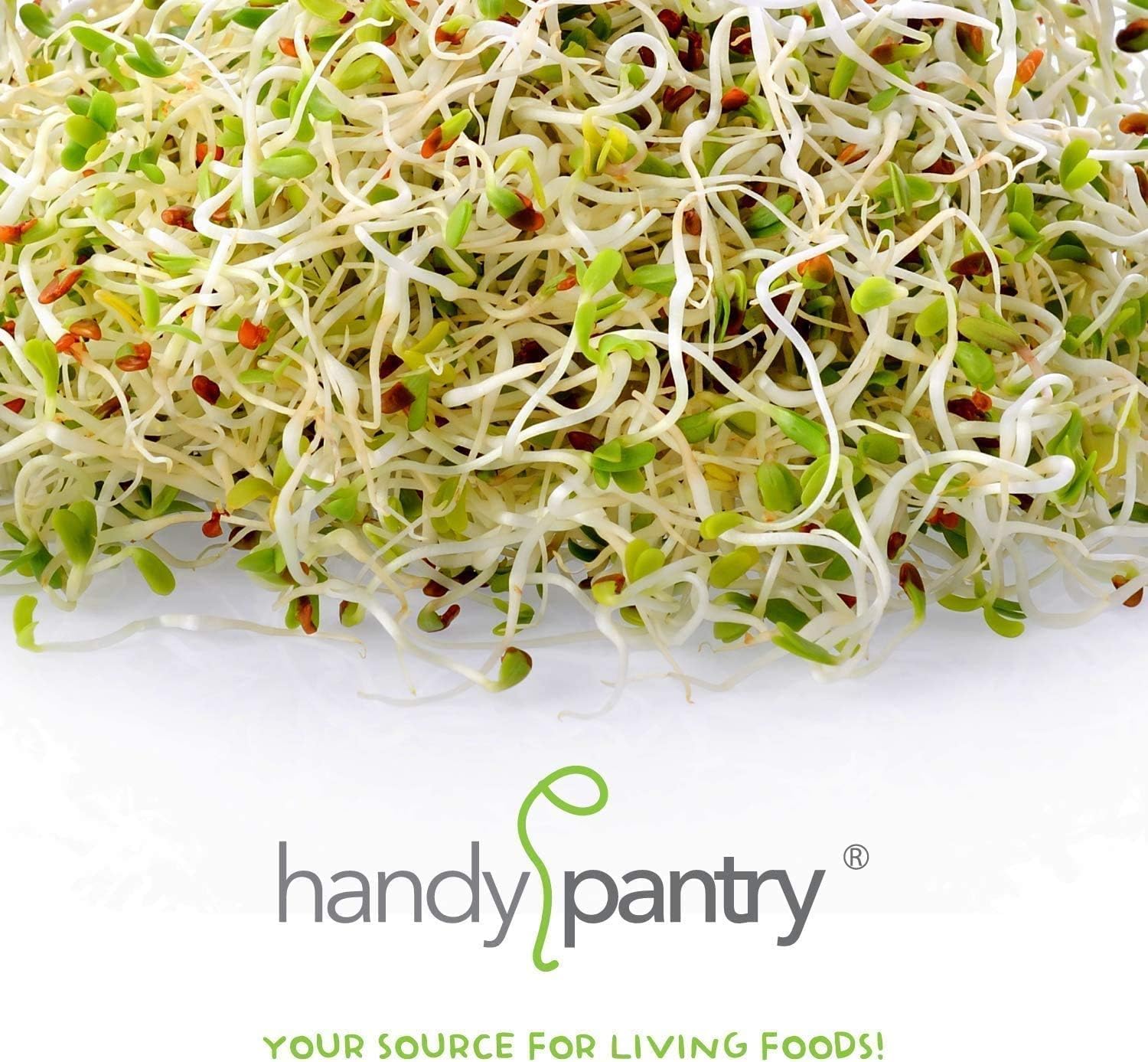 Handy Pantry Organiczne nasiona ptaków - 2,3 kg - mieszanka nasion kiełkujących ptaków dla małych, średnich i dużych ptaków - karma dla ptaków śpiewających, papug, papug itp