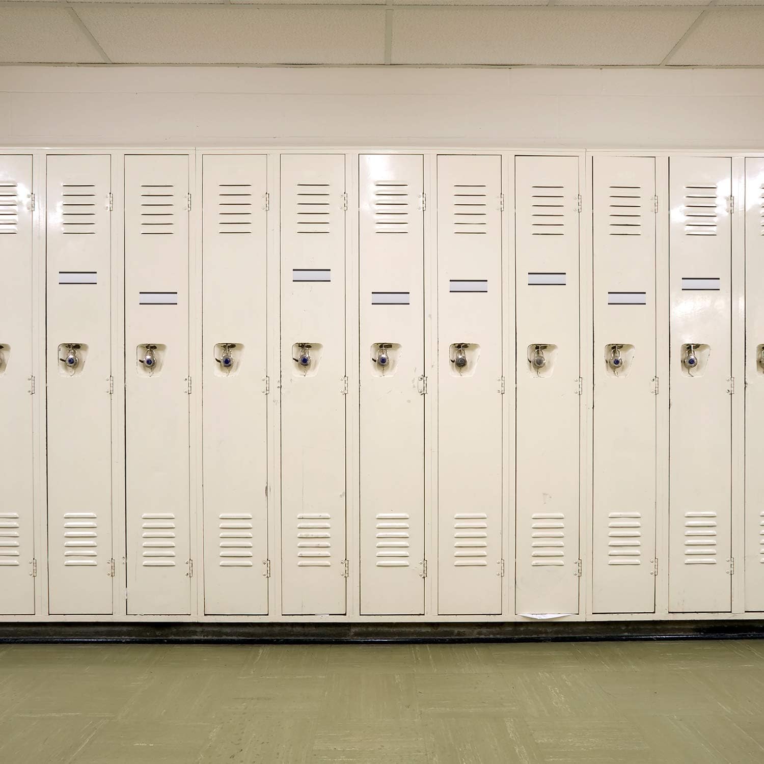 Magnetic Label Holders Labels with Magnets Magnetic Data Cardholders with Protective Films Replacement Strips for Shelf Bin (3 x 1 Inch, 30) : Office Products