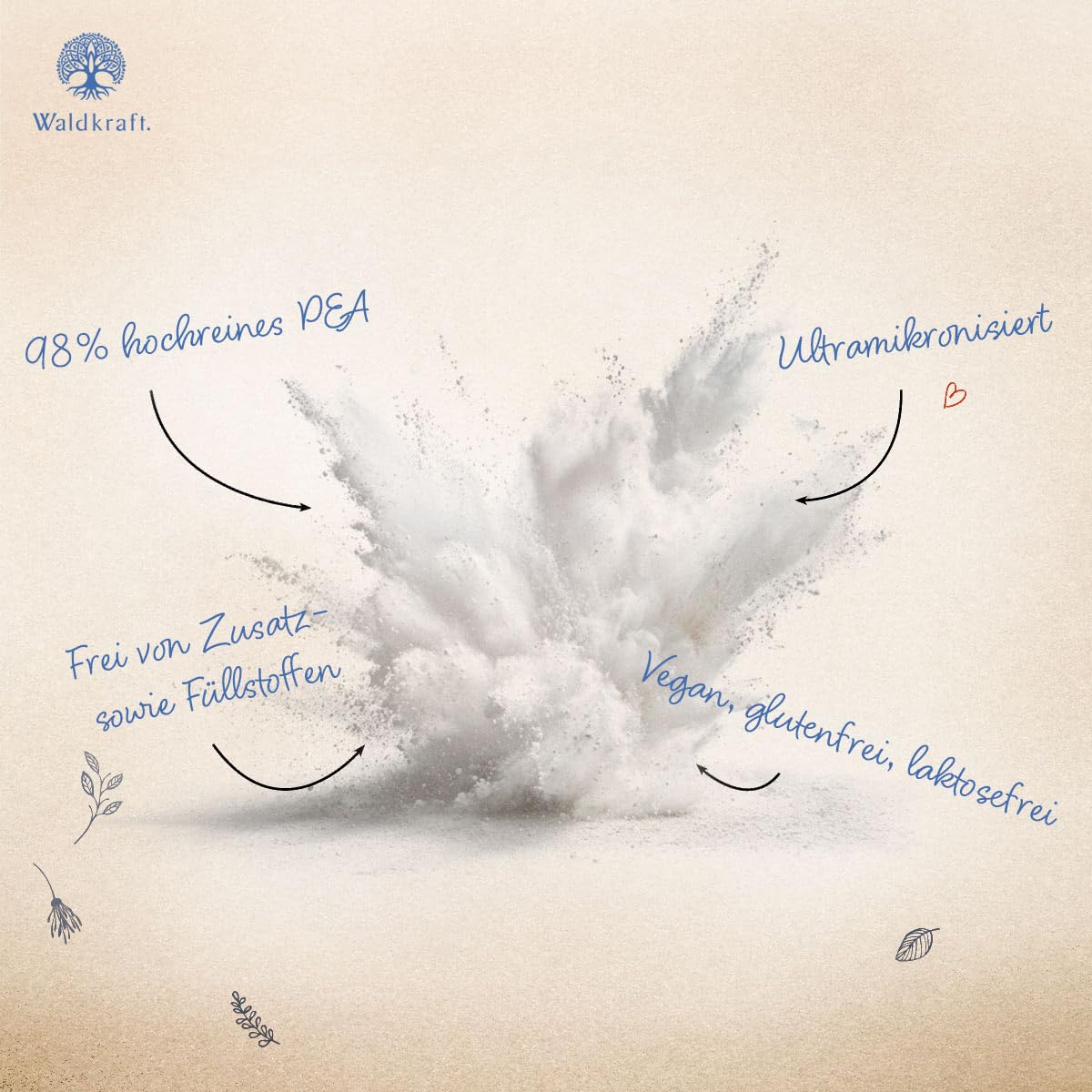 Waldkraft PEA Pulver 98% Reinheit – 36g Palmitoylethanolamid – Ultramikronisiert für hohe Bioverfügbarkeit – laborgeprüft & ohne Zusatzstoffe – vegan, glutenfrei & laktosefrei