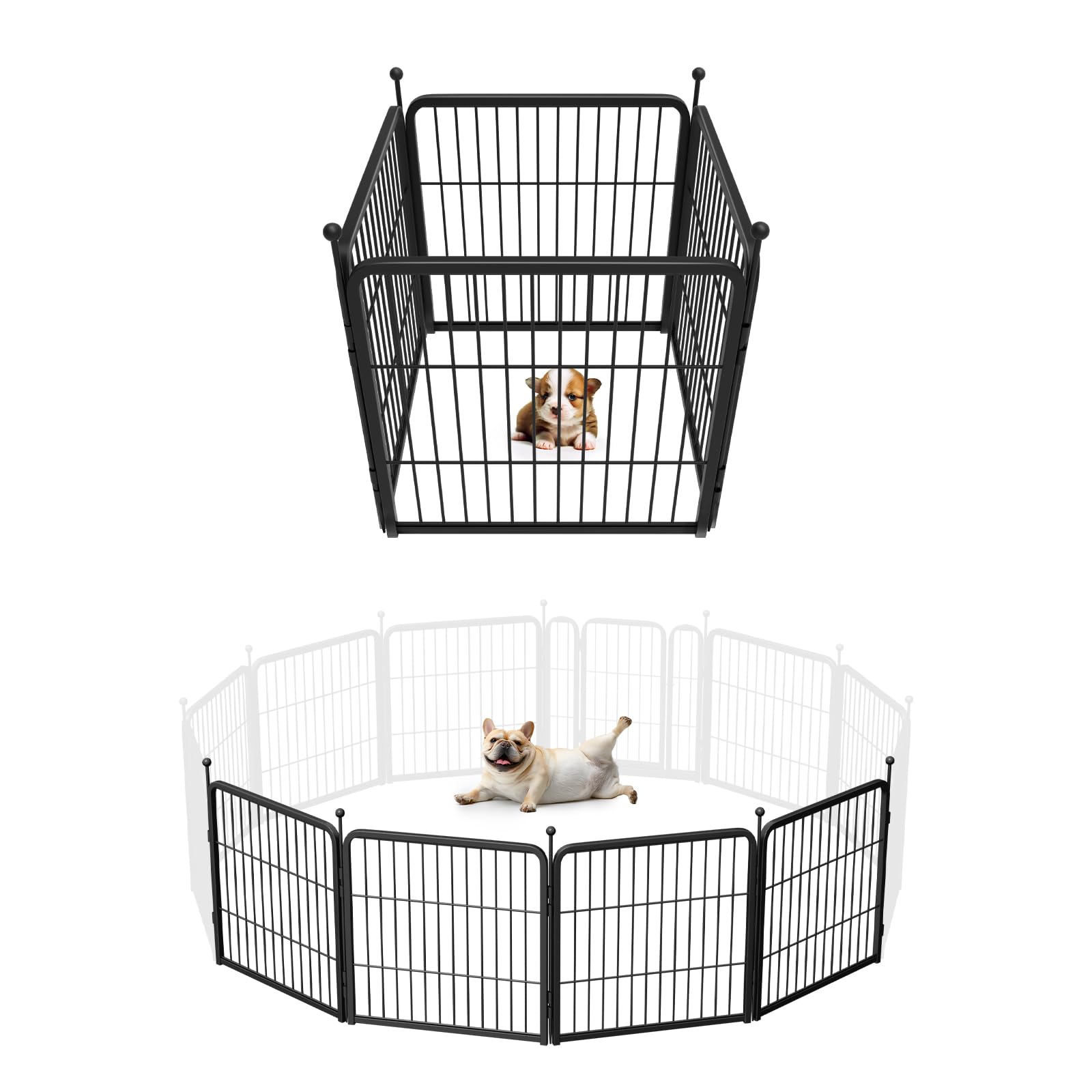 FXW Rollick Unleashed Dog Playpen for Indoor, Yard, RV Camping, 24 inch 4 Panels for Small and Puppy Dogs, Black│Patented