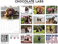 Vista 1059 de Razas de Perros 2017