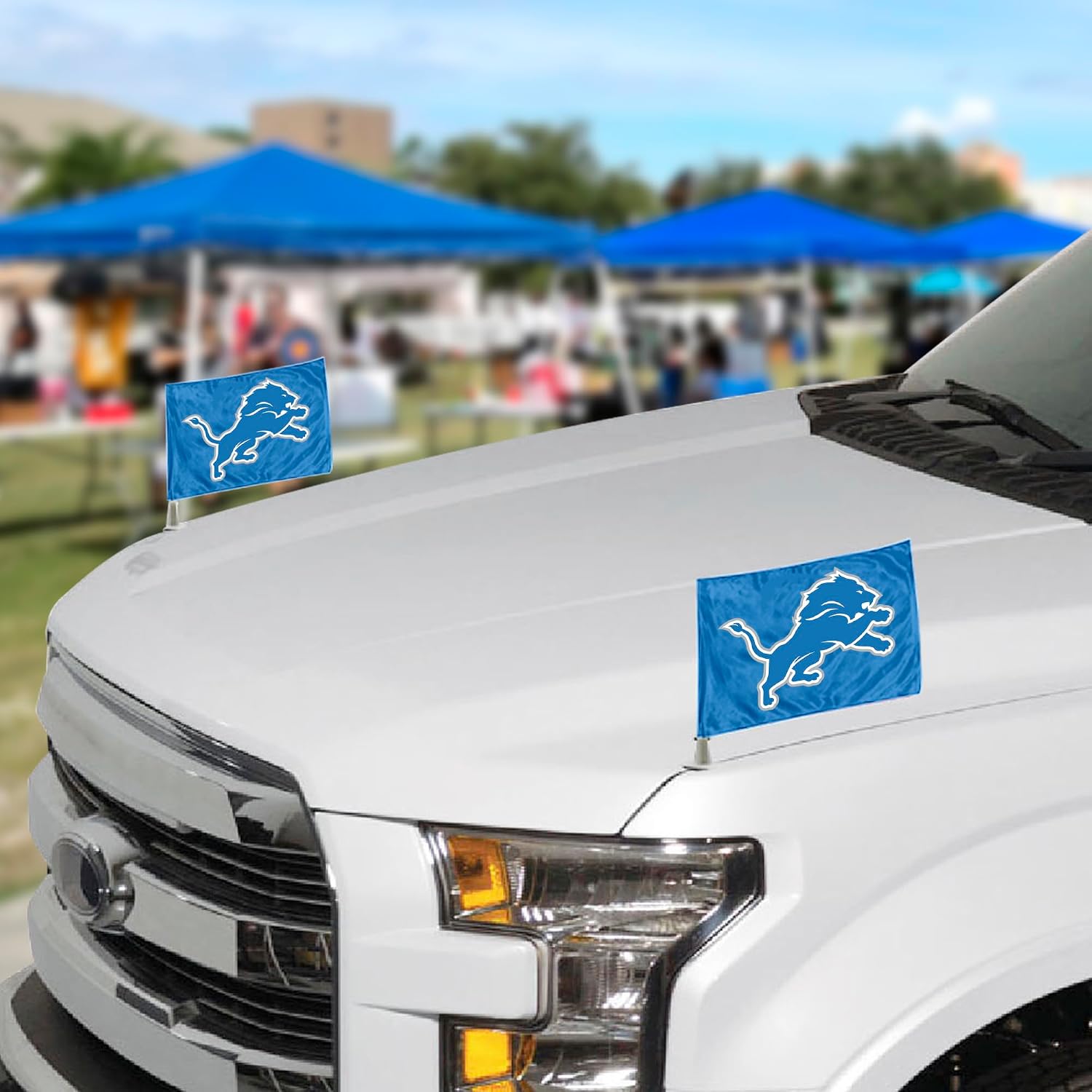 FANMATS NFL Unisex-Adult Detroit Lions