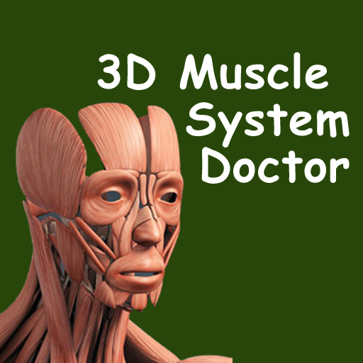 Muscle Visualizer 3D Muscle System - App on Amazon Appstore