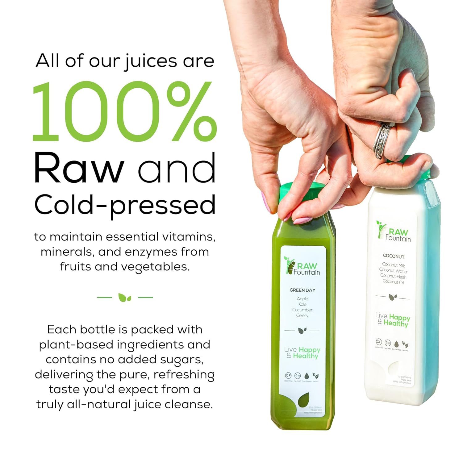 3 Day Juice Cleanse By Raw Fountain, All Natural Raw Detox C...