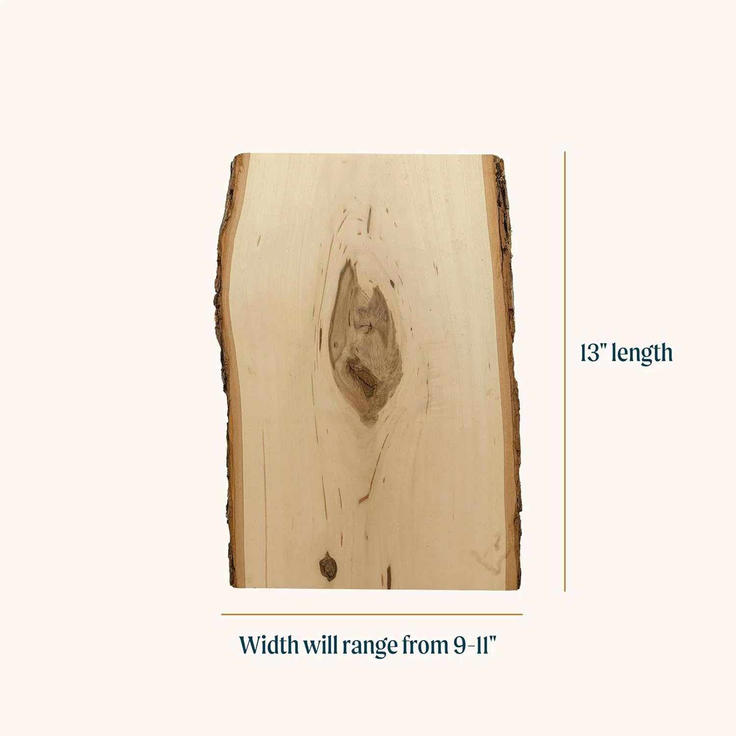 Foggy Bottom Woodworks LLC Rustic Basswood Bark Live Edge Plank, 0.69" X 9 to 11" X 13", 12-Pack