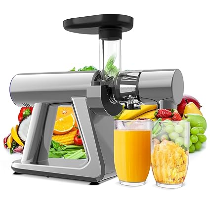 Juicer Machines, ZUUKOO Slow Masticating Juicer, Cold Press Extractor with Quiet Motor & Reverse Function, Easy to Assemble and Clean, with Brush, Juice Recipes for Vegetables and Fruits, BPA-Free