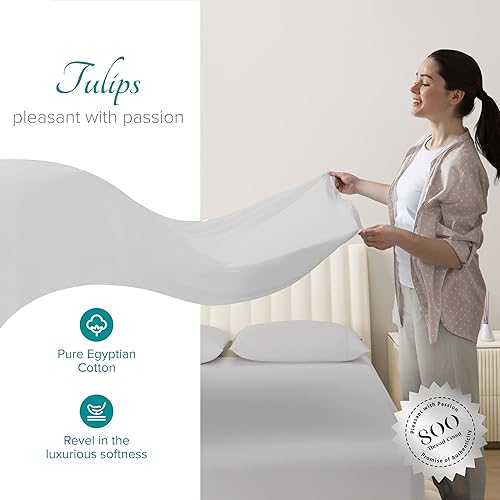 Miniatura 2 de Carressa Linen - Juego de sábanas de 100% algodón (800 hilos), Algodón egipcio, Plateado, Completo