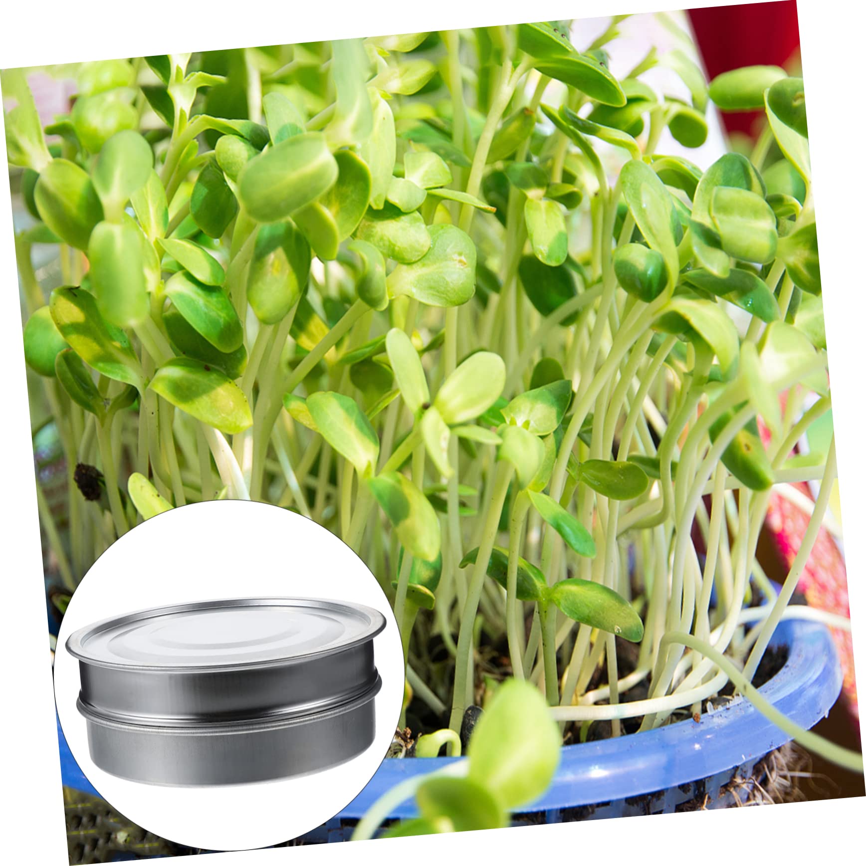 Edelstahl Keimset 20cm als Stapelbares Anzuchtset für Zuhause | 1 Stück, für Garten und Haushalt, Silber, mit Einfacher Drainage und Feinem Sieb