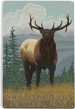 Lantern Press Rocky Mountain National Park, Colorado, Elk, Painterly, 12x18 Inch Aluminum Sign, Indoor or Outdoor Use
