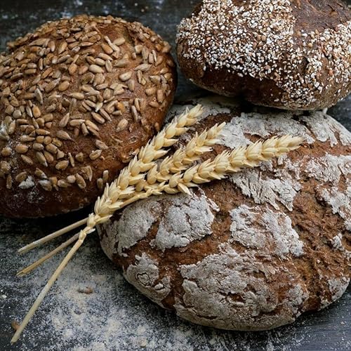 Psalm 147:12-15,19-20 for the 2nd Sunday of Christmas Year A - The Word Was Made Flesh, And Lived Among Us copertina