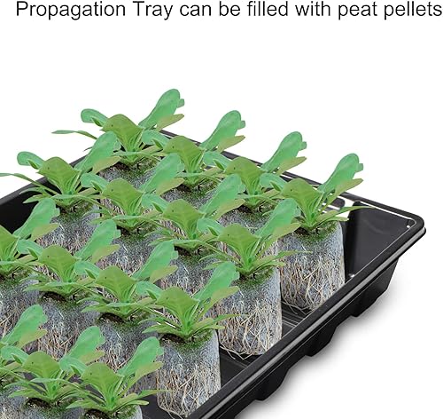 Miniatura 4 de ANGTUO Paquete de 5 bandejas de inicio de semillas para plantar 120 bandejas de germinación de plantas de células, kit de iniciación de plantas,