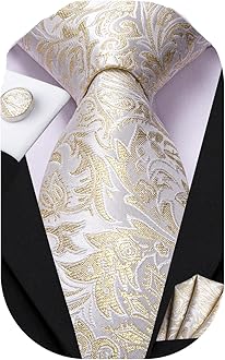 Dubulle Mens Paisley Striped Tie WOVEN Necktie for Men and Handkerchief Cufflinks Set Wedding Formal Business