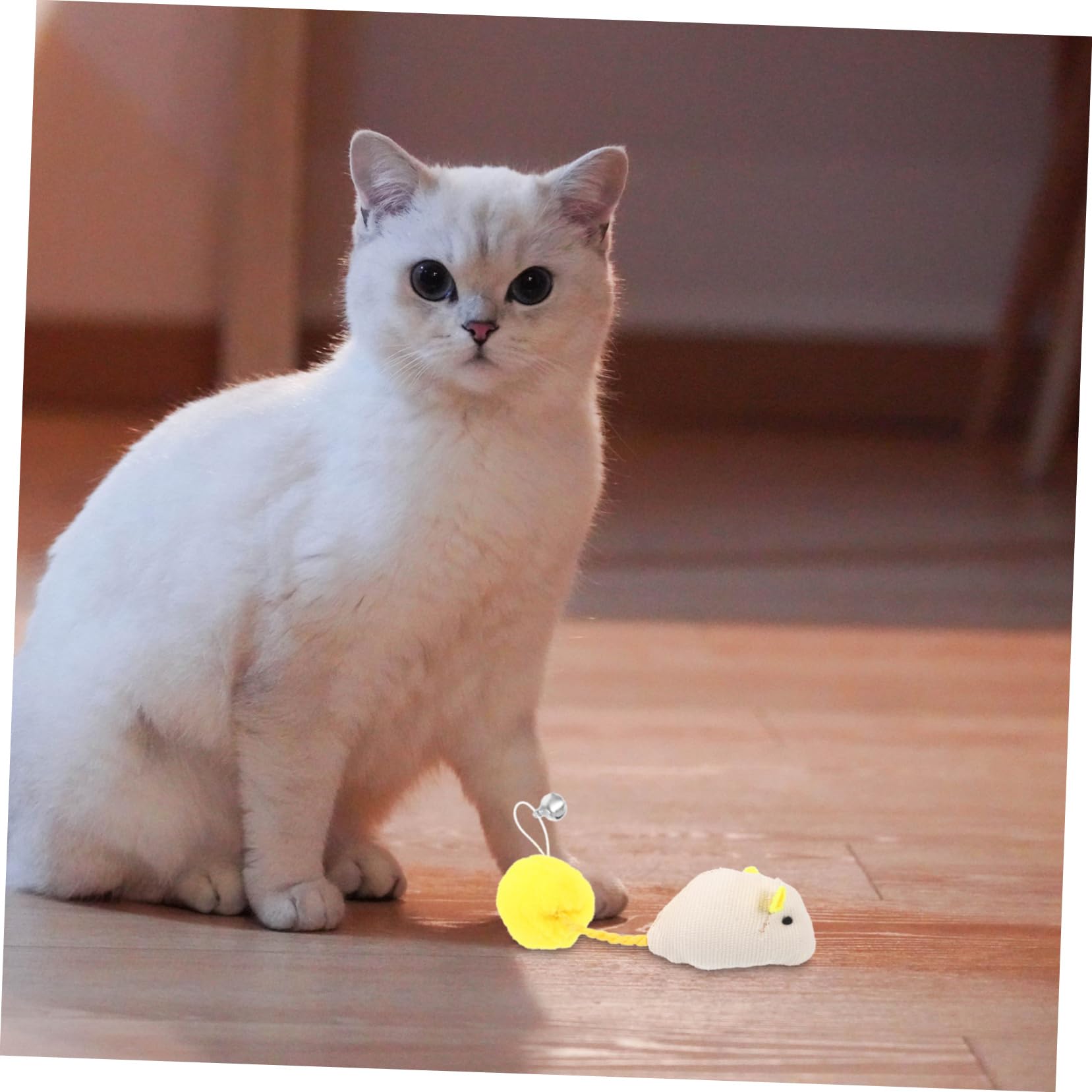 Toddmomy 6pièces Jouet Souris pour Chat Peluche Lot de Jouets Interactifs pour Chat Et Chaton avec Clochette pour Chasser Et Mordre