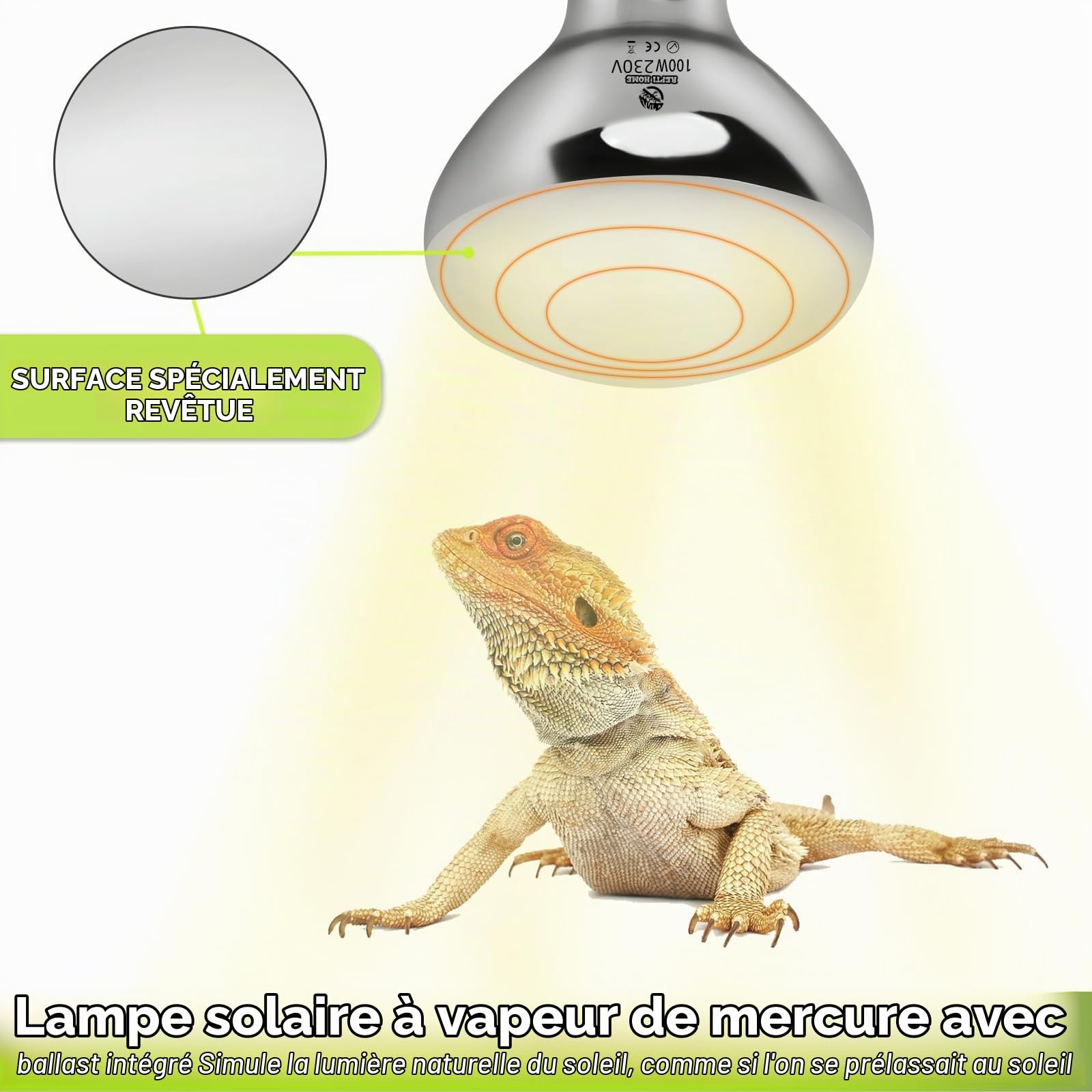 UVA UVB Lampe Chauffante Pour Reptiles, 100W E27 Ampoule Lampe UVB, Lampe Chauffante Pour Reptiles Et Amphibiens, Tortue