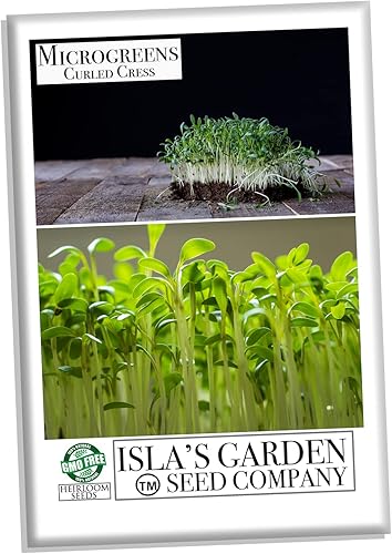 Miniatura 3 de Semillas de microgreens de berro rizado para plantar, más de 500 semillas de reliquia por paquete, semillas sin OMG, (semillas de jardín de Isla),