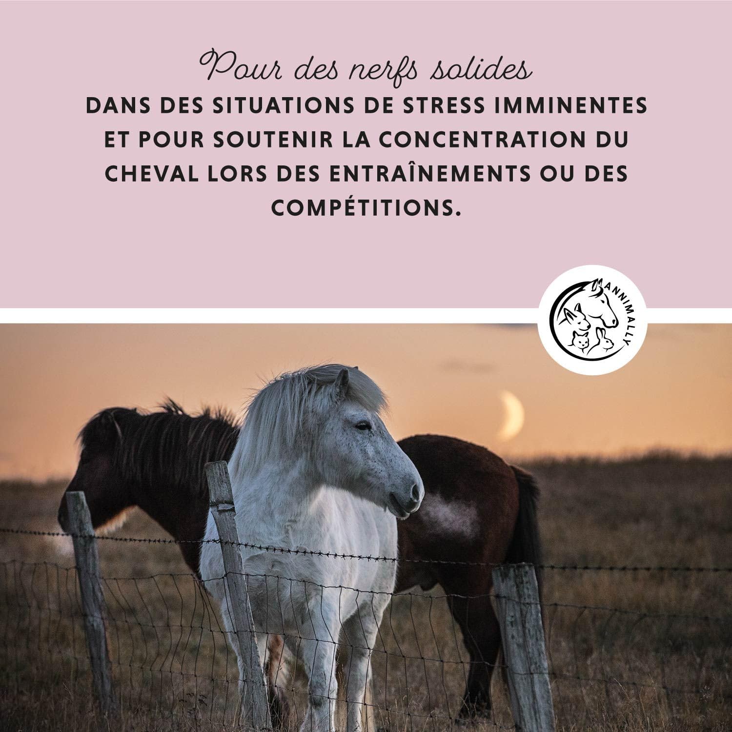 Annimally Poudre Relax pour Chevaux 850g pour Calmer Les Chevaux - Herbes pour Les nerfs avec magnésium, tryptophane, valériane, passiflore et Huile de Chanvre Contre l'anxiété, Le Stress