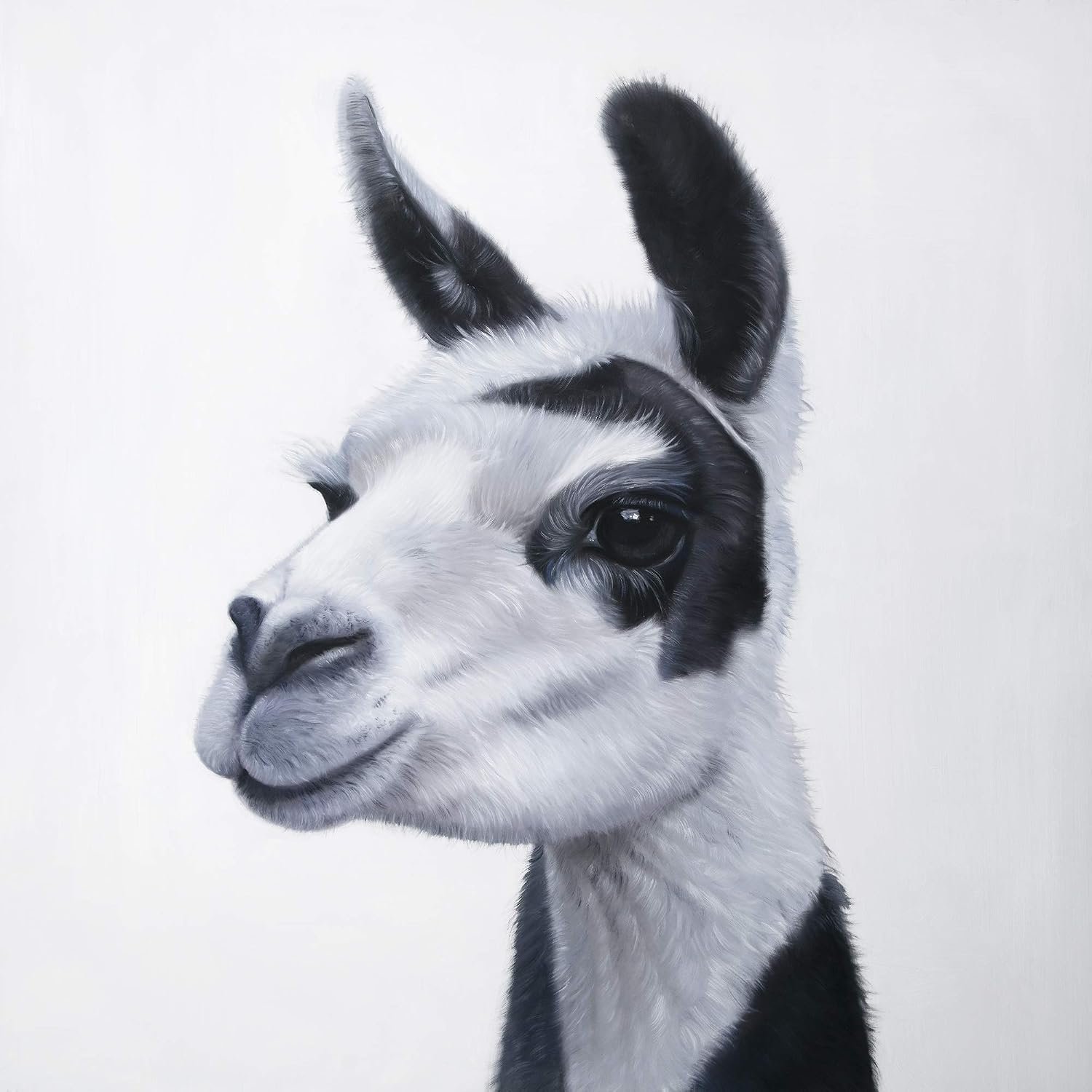 BEGIN DECO MAISON - HOME DECOR Black & White lama, Fine Art Gallery Wrapped Canvas 24x24