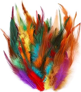 HaiMay 200 Pieces Colorful Feathers for Craft Wedding Home Party Decorations, 3-6 Inches Saddle Hackle Rooster Feathers Cr...