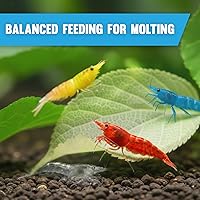 Vista 3 de JOR Hojas secas de morera de camarón, 2 oz. Hoja de acondicionador de agua como fuente de alimento natural, promueve el crecimiento de biopelículas