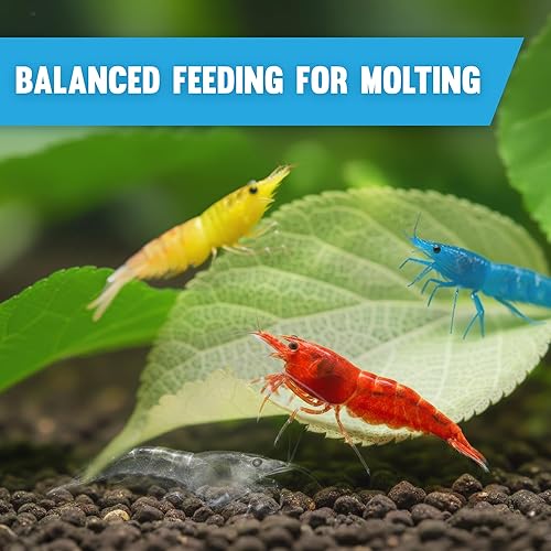 Miniatura 3 de JOR Hojas secas de morera de camarón, 2 oz. Hoja de acondicionador de agua como fuente de alimento natural, promueve el crecimiento de biopelículas