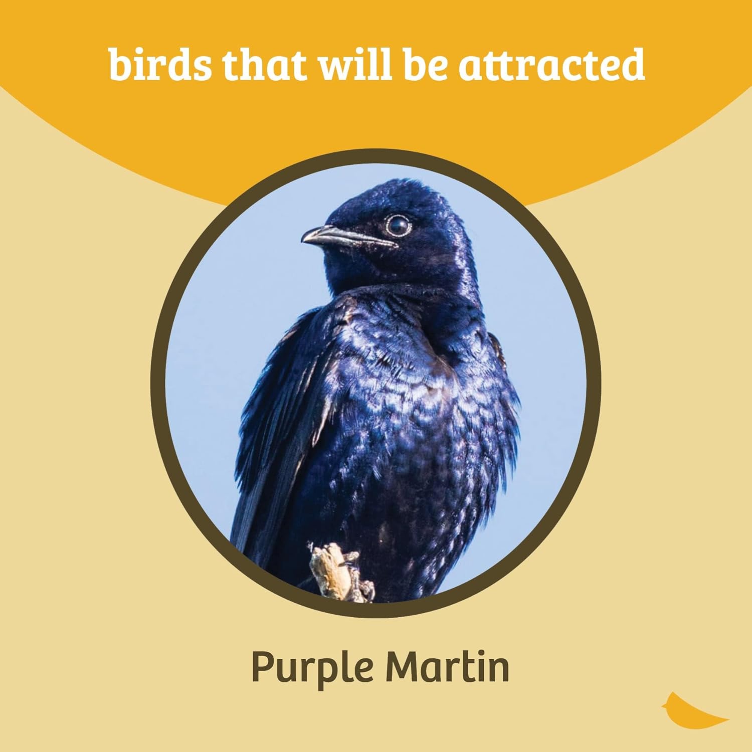 Birds Choice Premium Aluminum Purple Martin House – 8 Room, 2 Floor Birdhouse with Starling Resistant Entrance Holes, Ventilated Roof & Easy Cleaning, Unassembled– USA Made