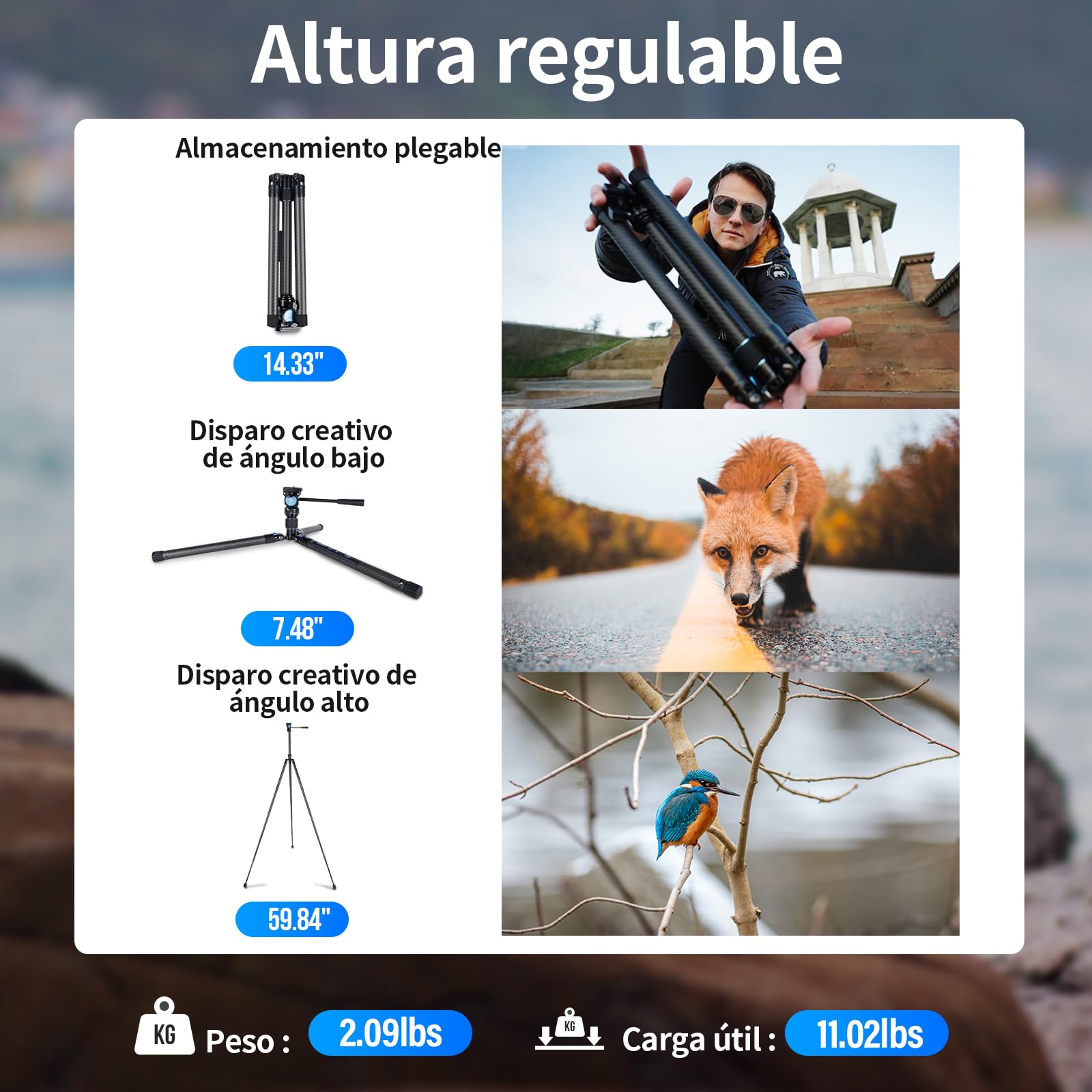 SIRUI Carbono Trípode para Cámara Traveler X, 152cm Trípode de Viaje Ligero con Vídeo Panorámico de Cabezal Fluido AT-10, para Videocámara, DSLR, Carga Máxima 5KG