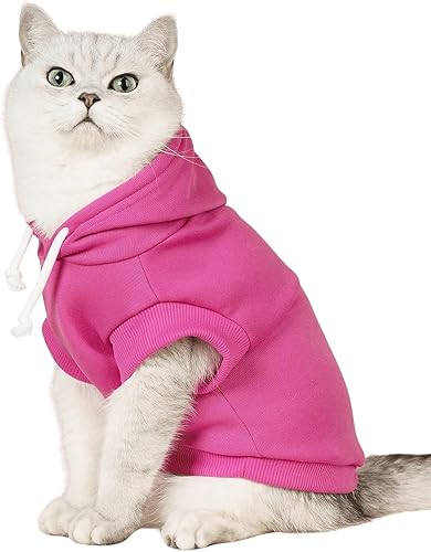 Miniatura 8 de QWINEE Camiseta sin mangas con capucha para perro con estampado de letras, chaleco sin mangas con capucha para gatos, cachorros, ropa elástica para