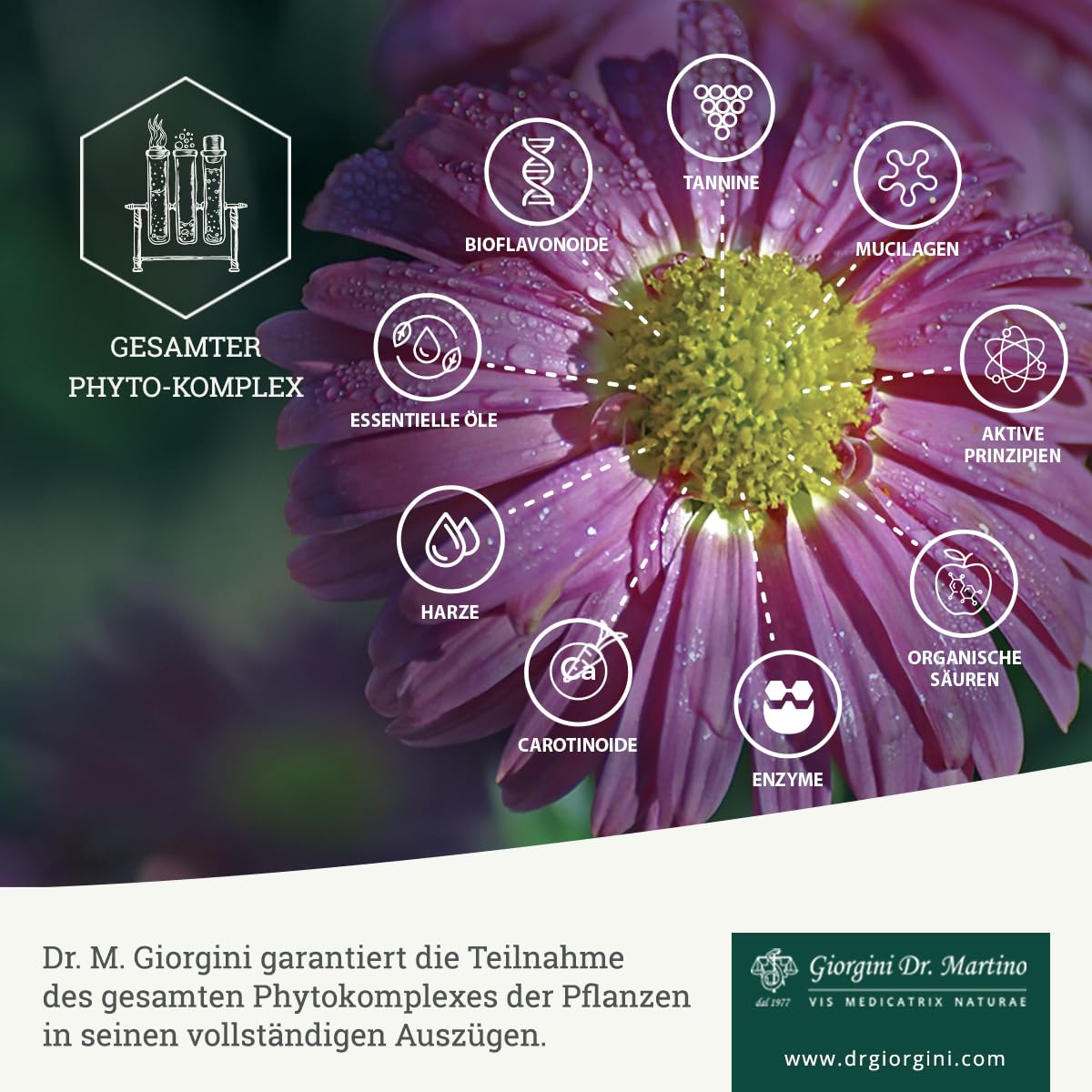 Dr. Giorgini Propolis Gesamtextrakt – 200 ml