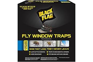Black Flag Fly Window Traps Block Insects and Ensure a Pest-Free Home