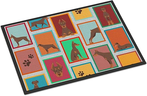 Vista 473 de Caroline's Treasures MLM1087MAT - Felpudo de perro de montaña bernés de 18 x 27 pulgadas, para interiores y exteriores, para entrada, Bernese