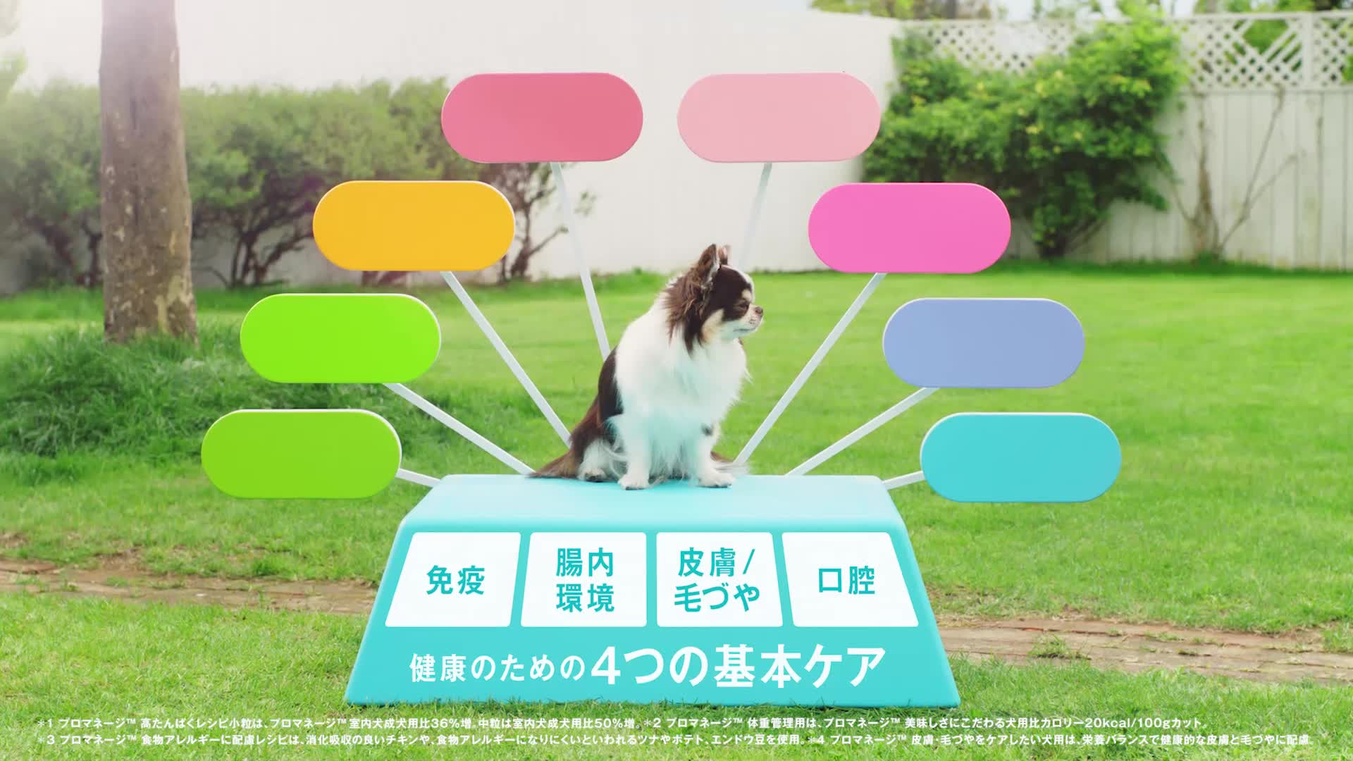Amazon.co.jp: プロマネージ ドッグフード 12ヶ月までの子犬用 4