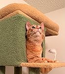 Review Image by Jacquline