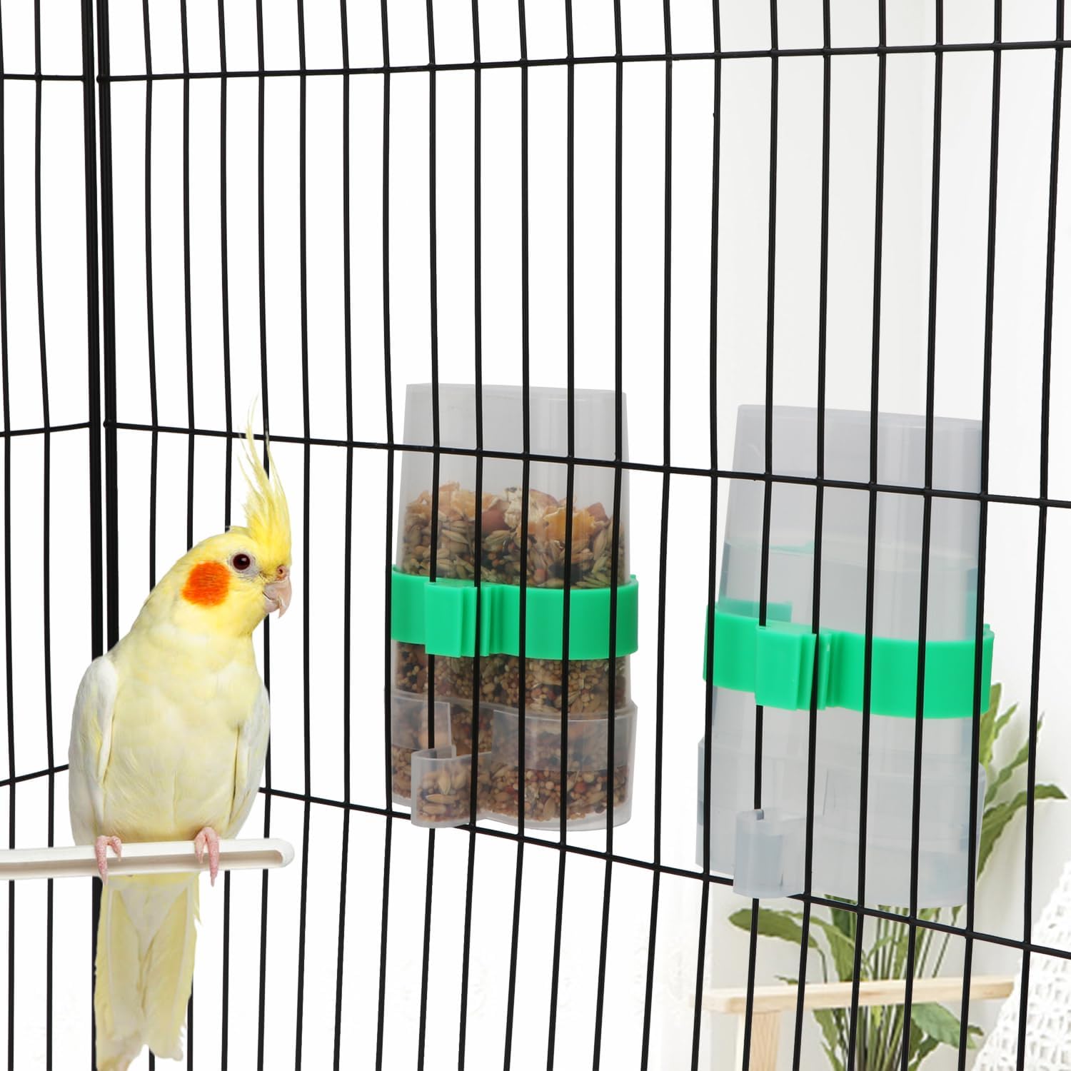 Hypeety Bird Water Feeder Dispenser Automatic Parrot Water Cup Clear Bird Cage Feeder for Finch Parakeet Budgies Small Bird 200ml / 7.05 oz (Green & Pack of 2) image 4