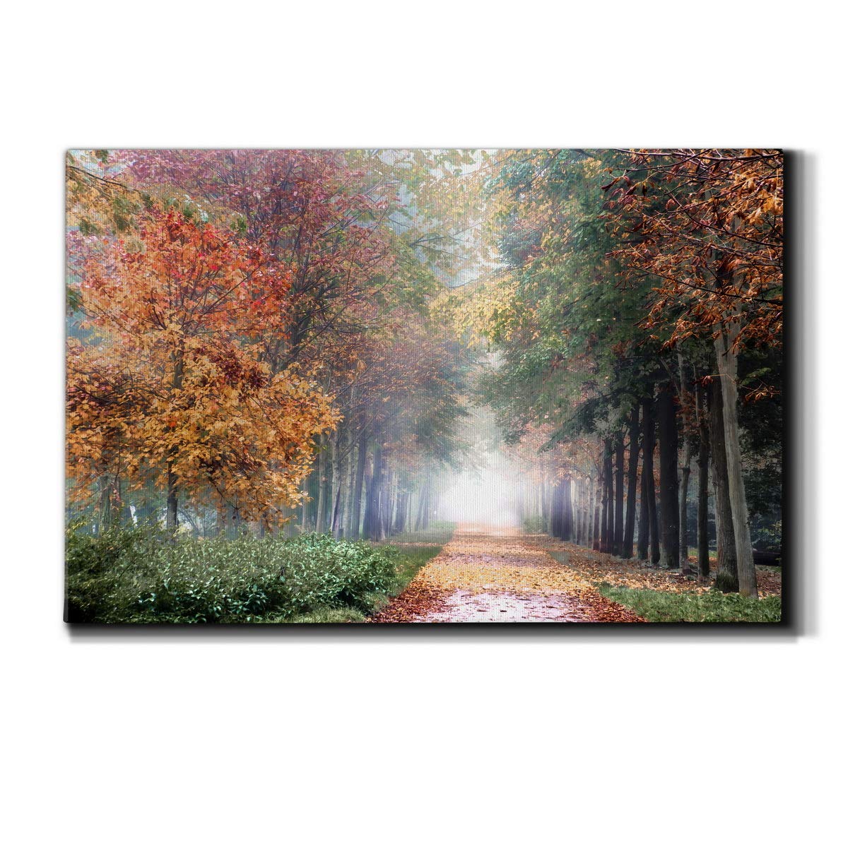 Wexford Home Landscape Canvas Wall Art Abstract Floral Forest Modern Pictures Artwork Decoration for Living Room Kitchen Bathroom Office, Ready to Hang, breath, 24x36