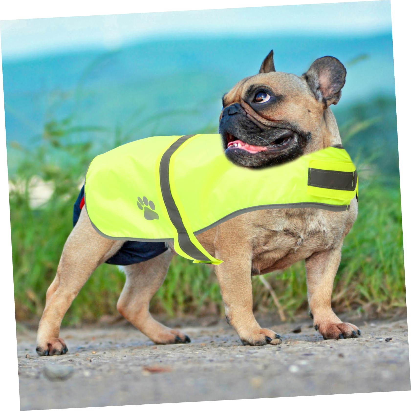 Kisangel 5stücke Reflektierende Hundeweste Aus Wasserabweisendem Oxford Verstellbar Für Optimale Passform Für Outdoor-aktivitäten Und Bei Dunkelheit